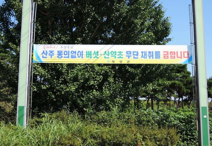 곡성군, 임산물 불법 채취 주민과 함께 막는다