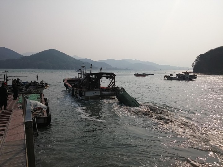 창선면 부윤2리 어촌계, 어장정화활동 펼쳐