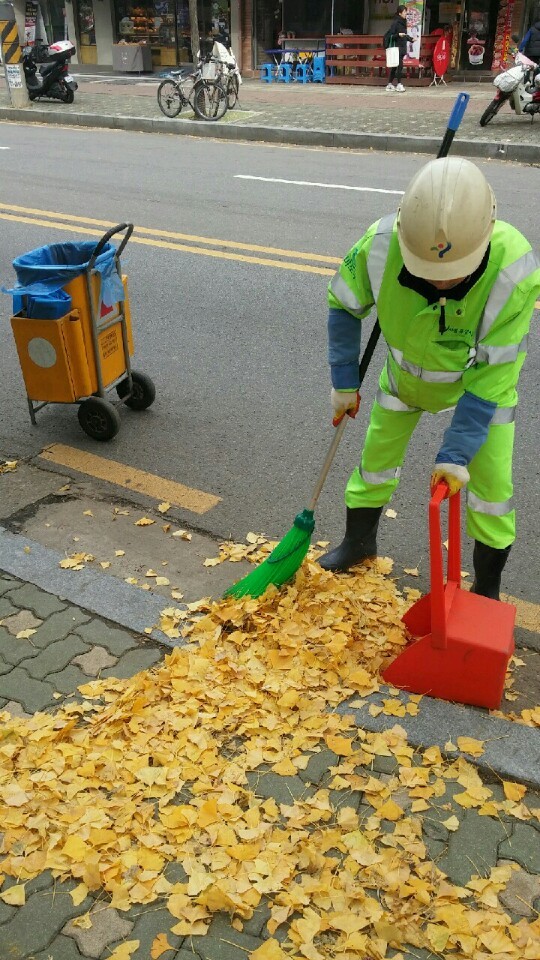 돈 드는 낙엽, 돈 되는 낙엽으로 탈바꿈