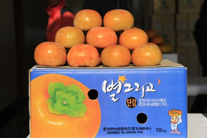 사천단감 저렴한 가격으로 맛 보세요