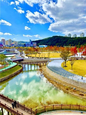 대전 단풍 절정…보문산·장태산·계족산·식장산·갑천호수공원 가을 명소로 붐빈다