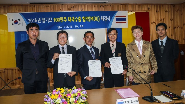 단계 딸기 모종, 태국 수출을 위한 업무협약