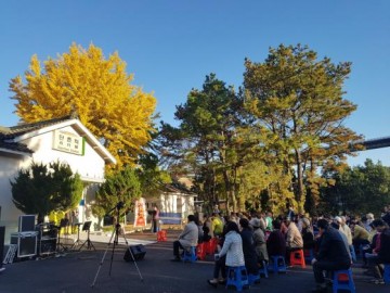 “제2회 단촌역 은행나무 문학광장”열려