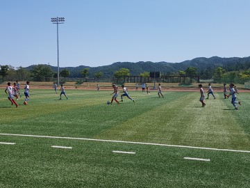 폭염도 막을 수 없는 축구의 열정