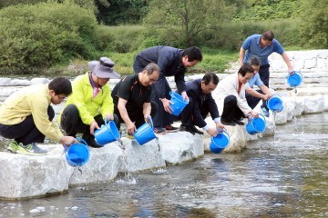 정읍시 산내면 추령천 다슬기 방류… 생태계 보호 총력 