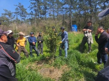 진도군 농업기술센터, 고품질 유자 생산을 위한 현장 컨설팅 추진 
