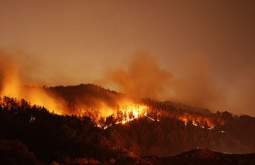 해빙기 안전사고 방지 및 봄철 산불화재 예방대책