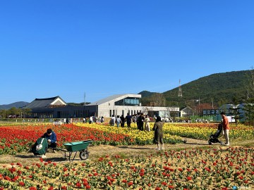 [포토뉴스] 안동포타운 튤립 축제, 주말 간 7,700여 명 나들이 ...