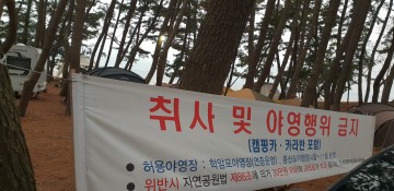 청포대해수욕장  ‘봉이 김선달’ 유사행위자 등장