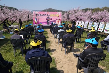  27년간 청도복숭아는 어떤 변화가 있었을까?