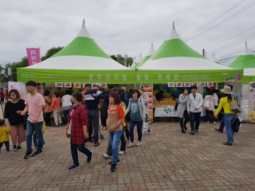 성주생명문화축제 기간 중에 성주참외 불티나게 팔려