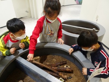 상주시 공검초등학교병설유치원, 곤충생태전시관 체험