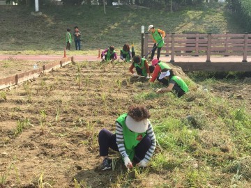 한국건강관리협회 대전충남지부, 유등천 건강환경 가꾸기 실시