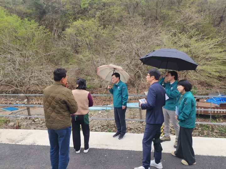 대전 서구, 하천 불법시설 정비…9월까지 추진