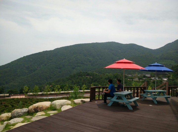 산청 동의보감촌 풍차 전망대 휴게소 개장