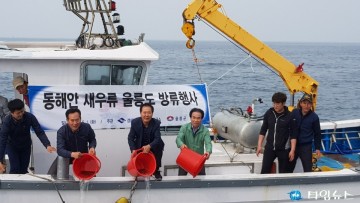 국내 첫 종자생산된 어린 도화새우(일명 독도새우)울릉도 해역에 방류
