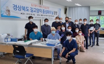 유기동물 집중 중성화(TNR) 사업 추진