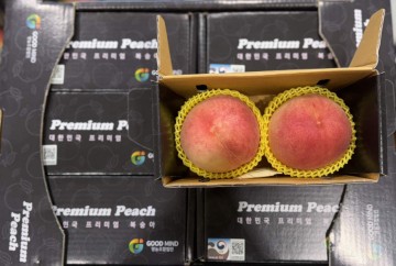 상주시, 복숭아 중동 두바이 첫 진출!