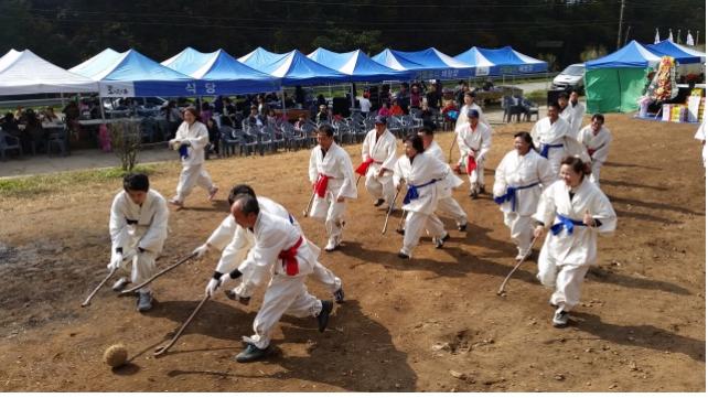 제2회 화랑촌 마을축제 29일 개최