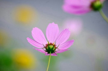 수원광교박물관 ‘수묵 일러스트’ ‘박물관 속 도자기’ 수강생 모집