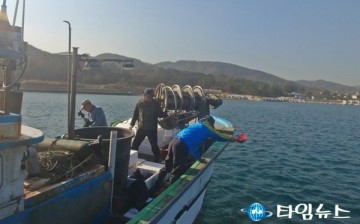 포항시, 양포리 자율관리공동체 어린해삼 방류로 바다살리기 동참