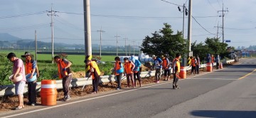 나주시 반남면 의용소방대, 코스모스 꽃길 조성