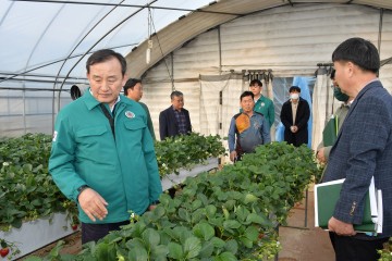 담양군, ‘일조량 부족’ 피해도 농업재해로 인정