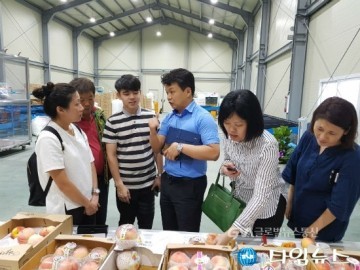  김영석 영천시장, 복숭아 수입 바이어 초청 수출위한 행보