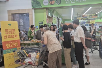 영주시, ‘망고링 업고’ 수도권 판로 확대