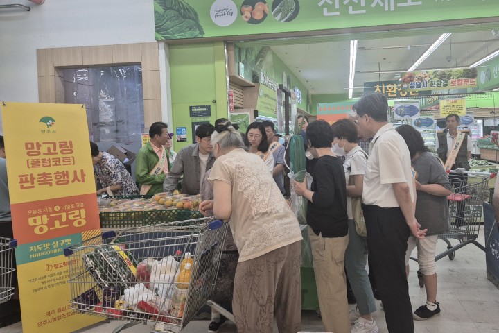 영주시, ‘망고링 업고’ 수도권 판로 확대