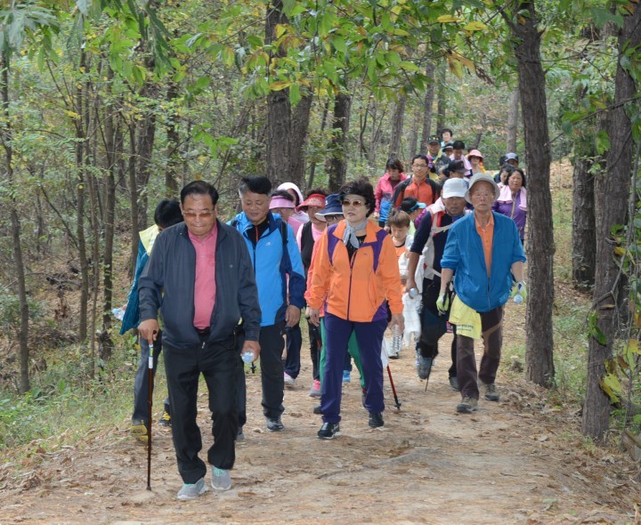 제12회 평화통일염원 군민등반대회 개최