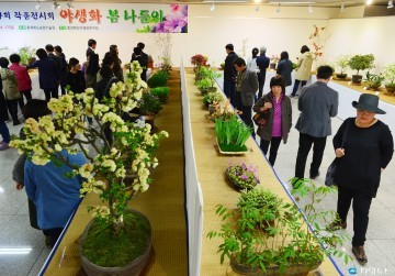  청남대 영춘제 기간 중 우리 육성꽃 봄나들이 전시회 개최