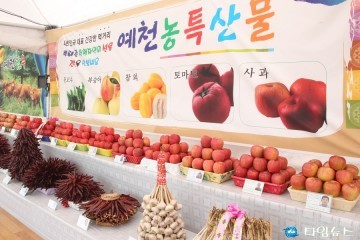  곤충나라 Clean 예천농산물大축제 14일~16일까지 한천체육공원일원, 볼거리 즐길거리 풍성