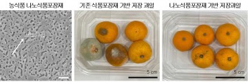 전남대 김장호교수팀, 차세대 농식품 나노포장소재 개발