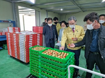 김천 알타킹 딸기, 대한민국 대표 수출 딸기로 우뚝