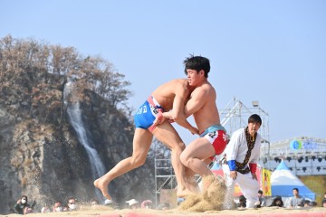 청송사과축제 안전에 최우선 중점두고 관광객 발길 사로잡아