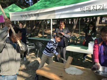 보령시 남포면, 제2회 용두솔밭 어울림 축제 개최