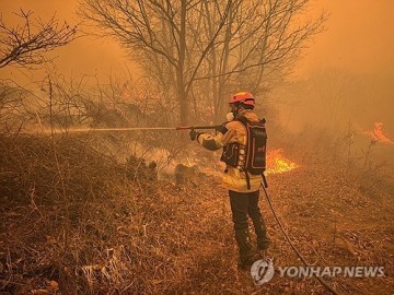 의성산불 안동으로 확산…'국가 소방동원령' 추가 발령
