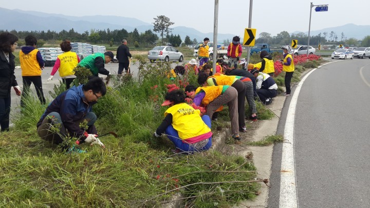 보성군 조성면 새마을부녀회, 봄철 맞이 새마을 대청소 실시