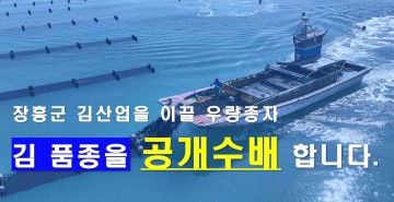 장흥군, 기후변화 대응 ‘우량 김 품종’ 발굴 본격화