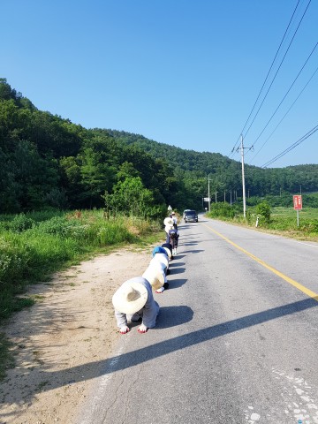 군위군 정토원 고봉스님, 공항유치를 기원하며 삼보일배 거행