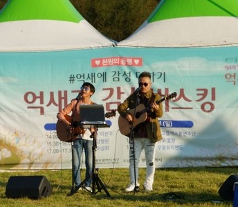 도심속 힐링 '서창들녘 억새축제'