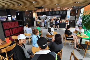 정선 작은 영화관이 여름 최고의 피서지로 각광