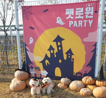 의성군과 반려견이 함께하는 할로윈 파티