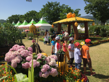 성주생명문화축제 참외공원 세종이 선택한 생명의 땅에서 자라는 참외 이야기 