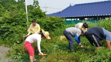 임피면, 잡초제거 등 깨끗한 가로환경 조성에 구슬땀