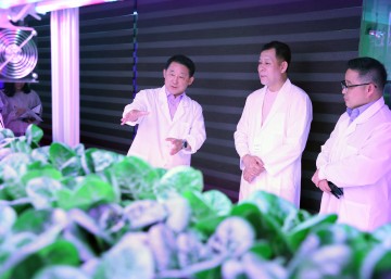 서철모 서구청장, 테마형 스마트팜 시설 방문