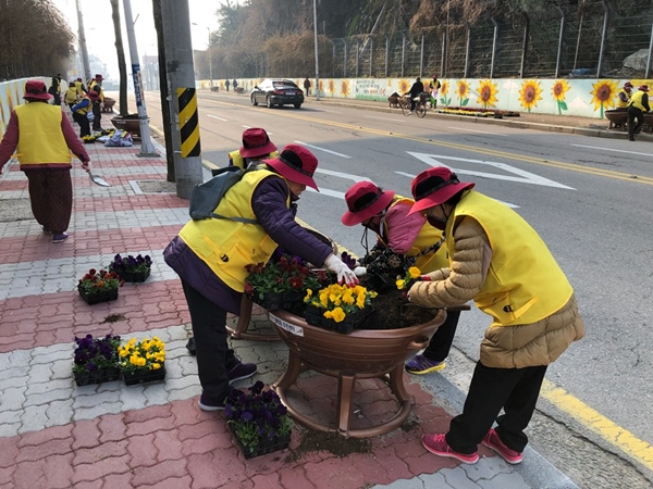 군산시 월명동·흥남동 봄철 팬지꽃 식재 