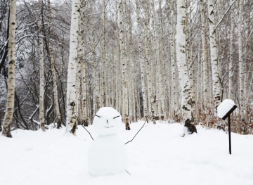 영양군, 변화하는 관광 핵심 알아보기