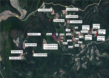 삼척 도계 산불발생